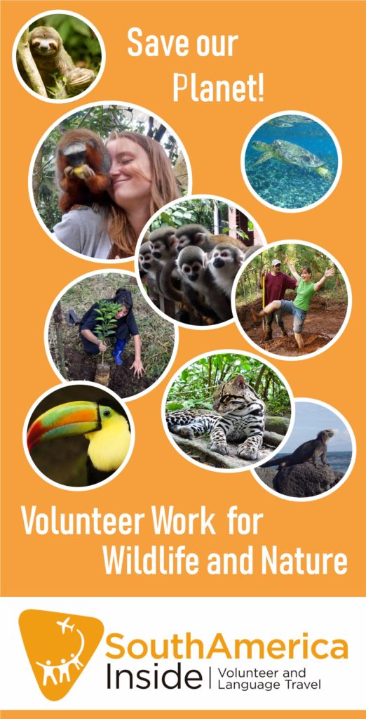 Wildlife and Nature Volunteer Projects