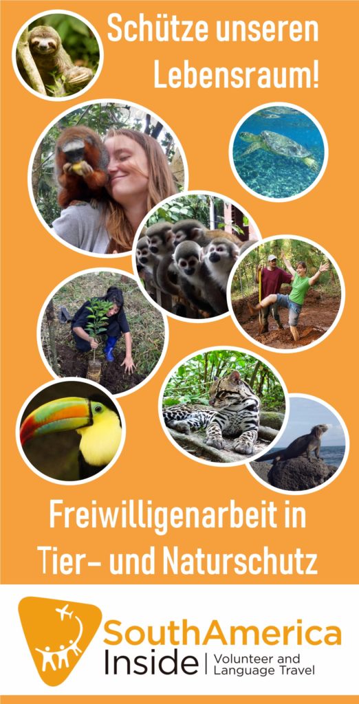 Anzeige SAI Tiere und Natur